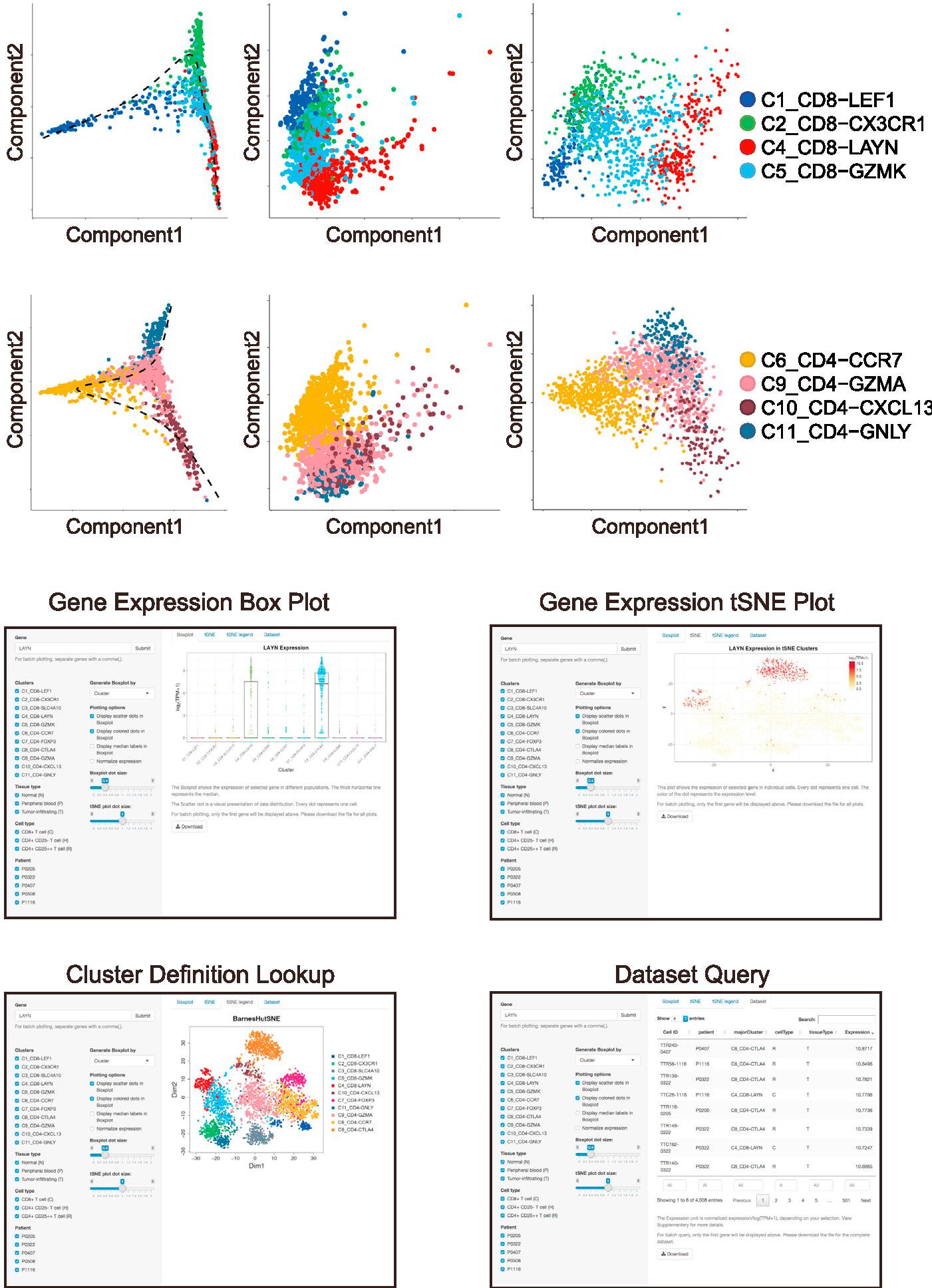 High-Dimensional Data Visualization