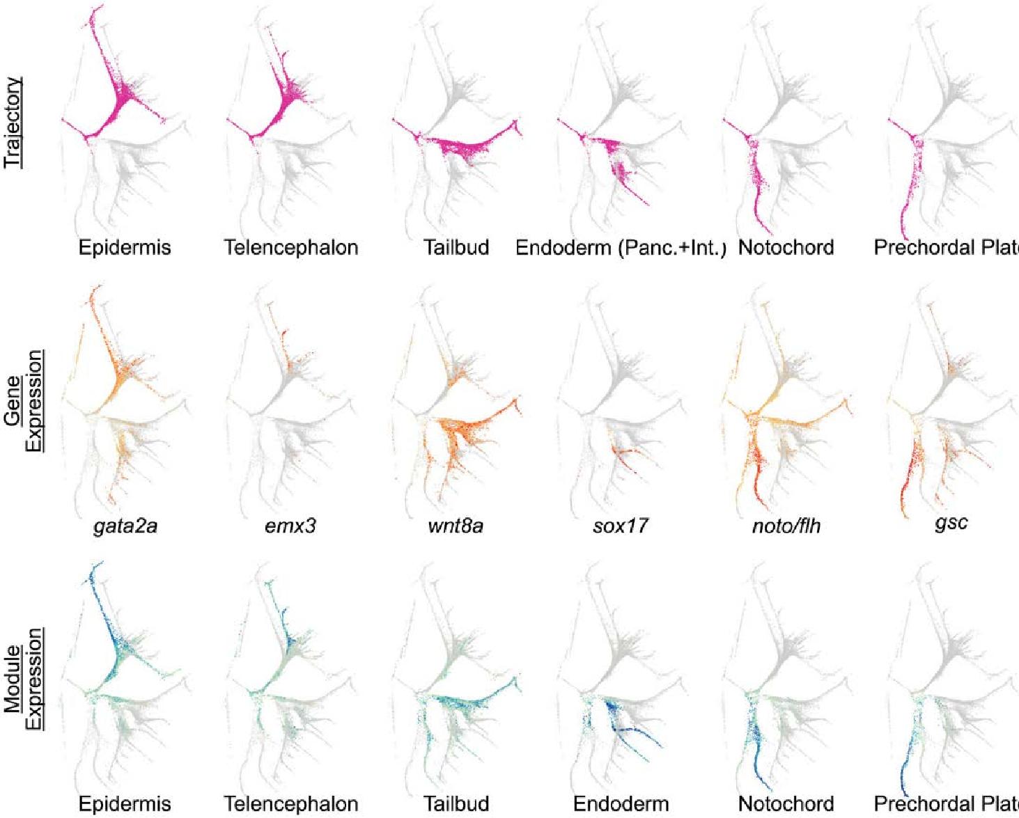 High-Dimensional Data Visualization